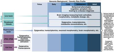 A Perspective of the Cross-Tissue Interplay of Genetics, Epigenetics, and Transcriptomics, and Their Relation to Brain Based Phenotypes in Schizophrenia